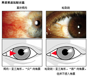 圖片2.jpg