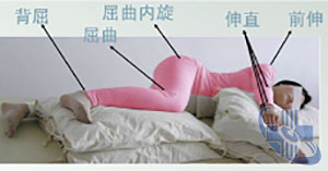圖片5.jpg