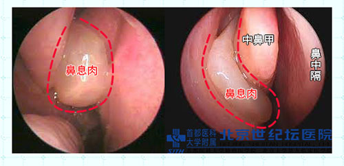 圖片4.jpg