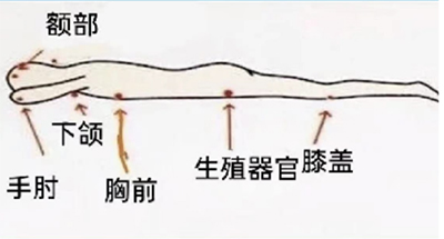圖片4.jpg
