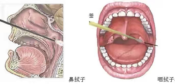 圖片2.jpg