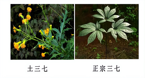 圖片1.jpg 圖片1.jpg