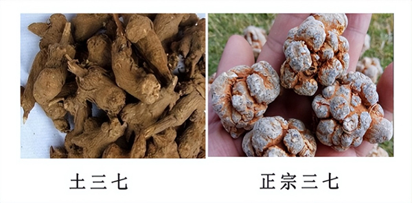 圖片2.jpg 圖片2.jpg