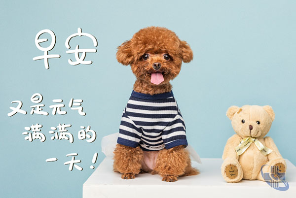 圖片8.jpg