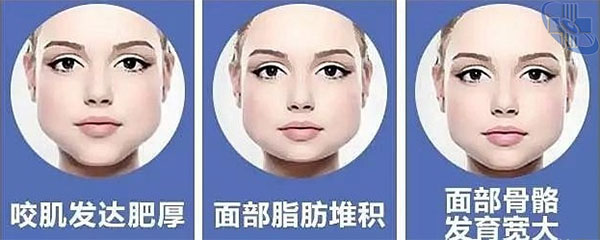 圖片2.jpg