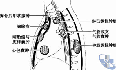 圖片2.jpg