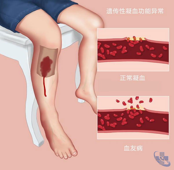 圖片4.jpg