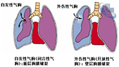 圖片24.jpg