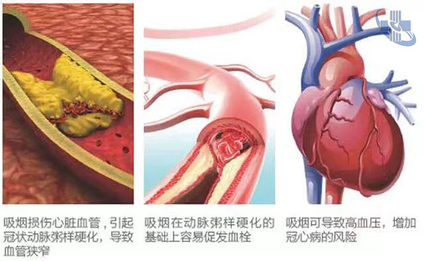 圖片8.jpg