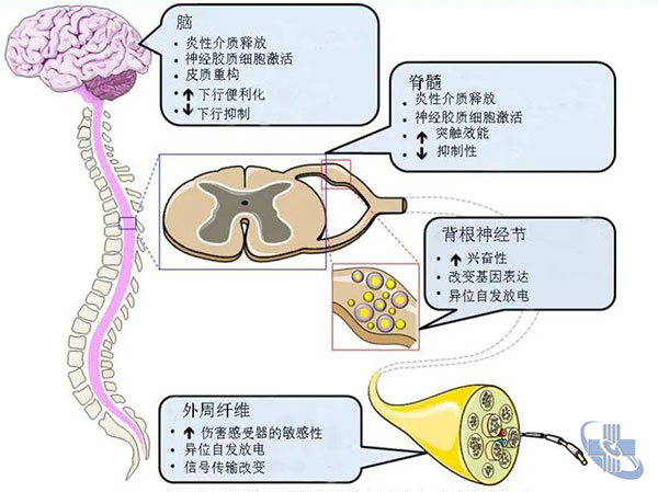 圖片6.jpg