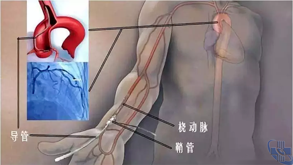 圖片6.png