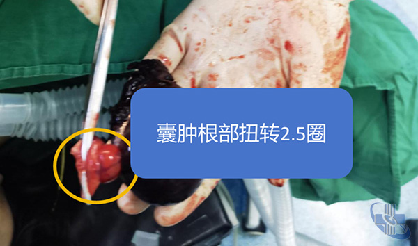 圖片4.jpg