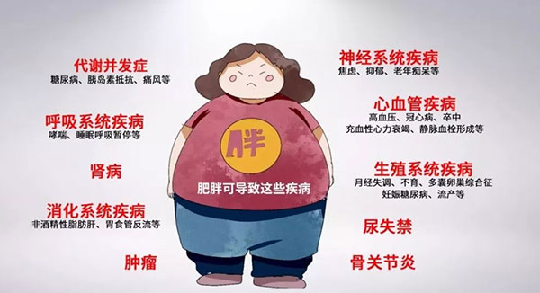 圖片48.jpg
